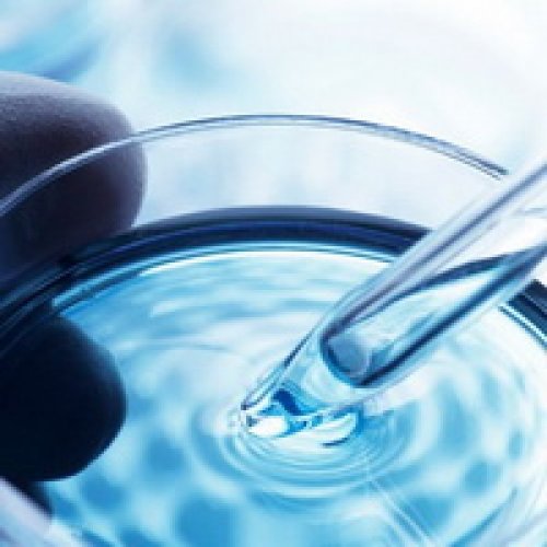 Токобиол С натуральный антиоксидант оптом