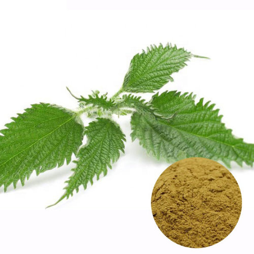 Сухой экстракт Листьев Крапивы  