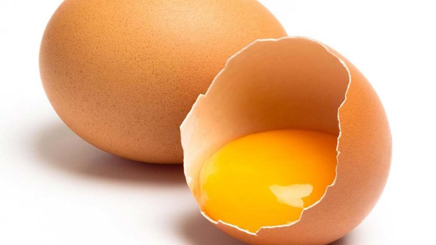 Egg Oil Яичное масло (Липофолк)  