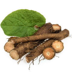 Гидролат Корня Лопуха